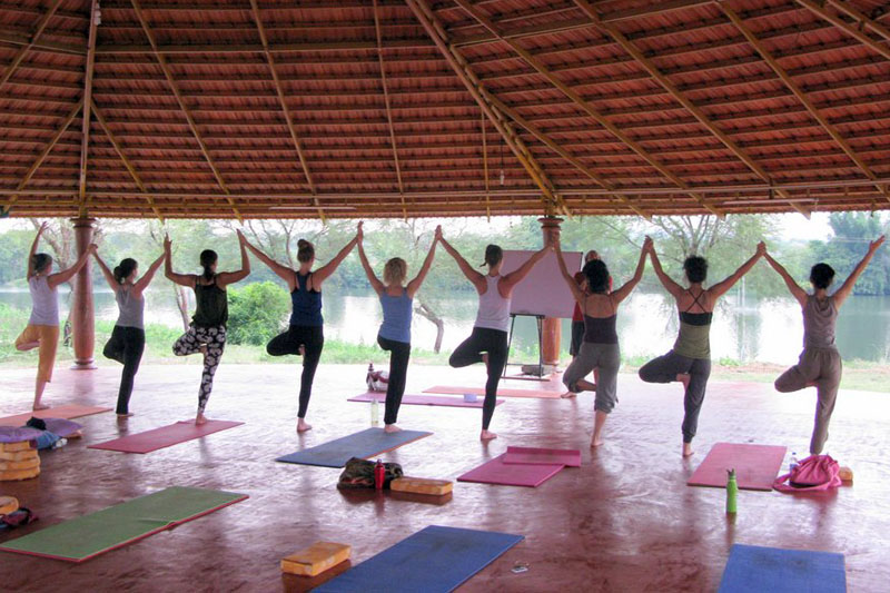 Yoga and Meditation Tour Packages in India